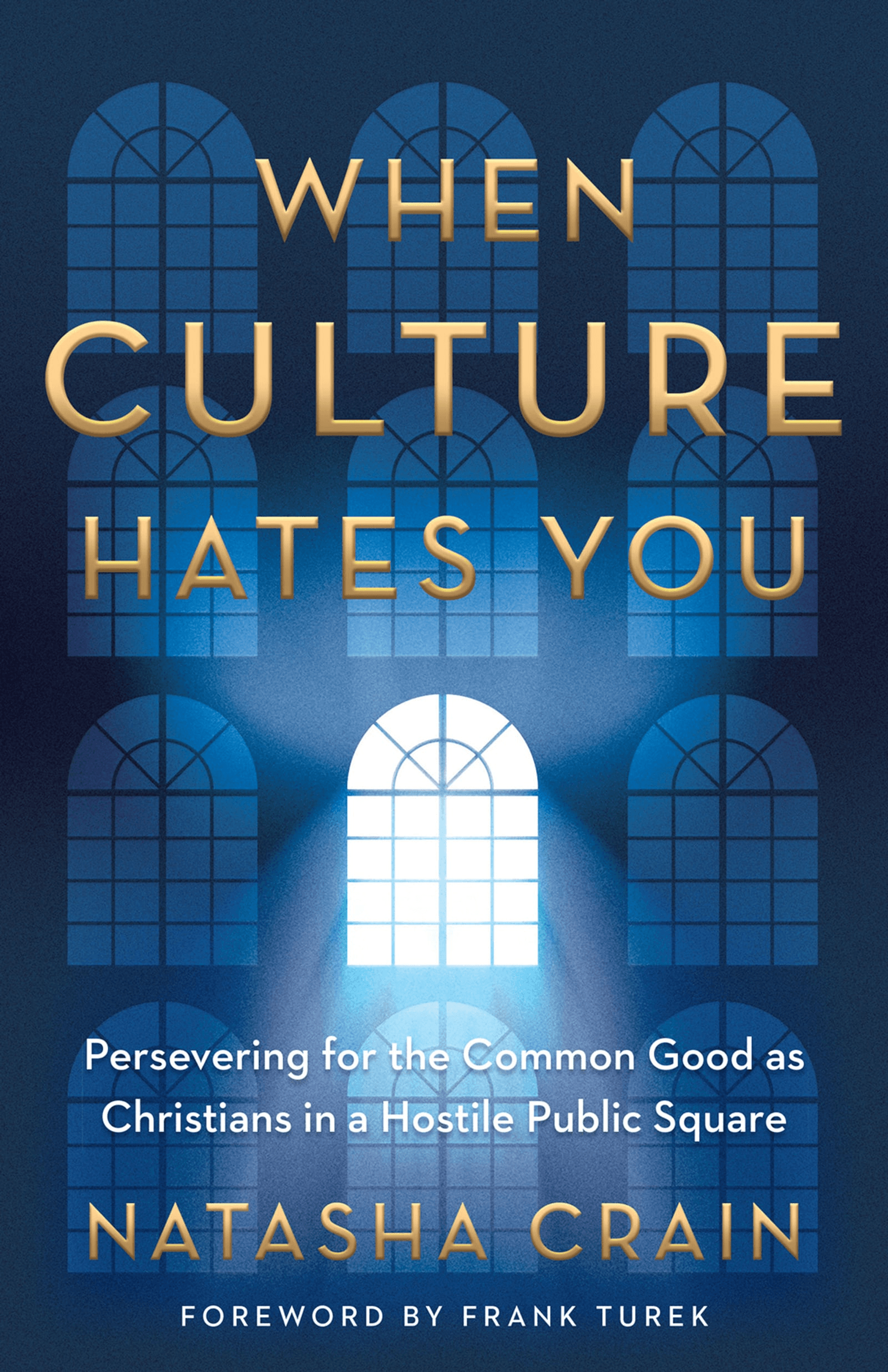 Cover image for When Culture Hates You