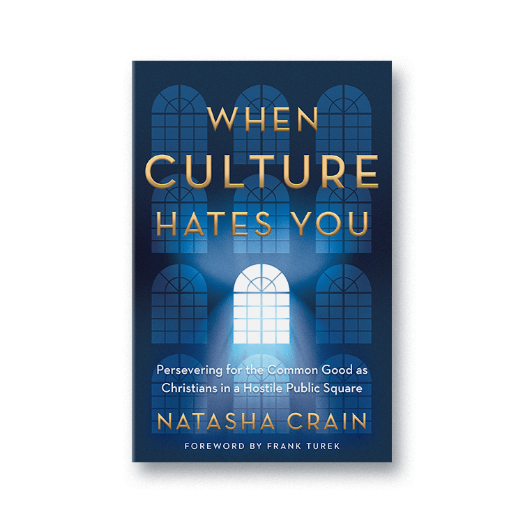 Cover for When Culture Hates You