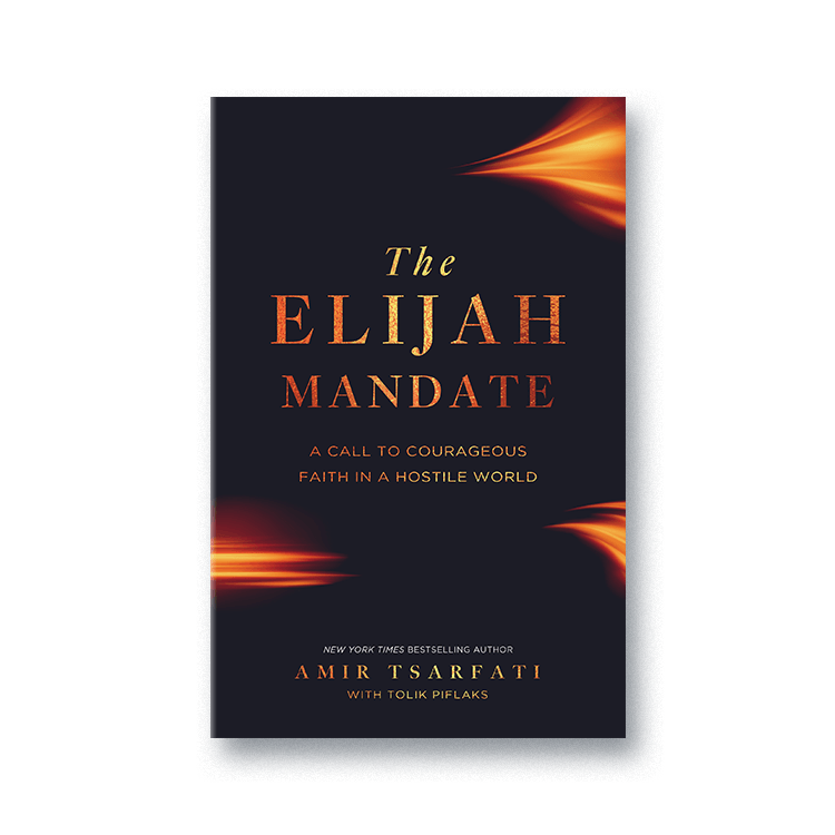 Cover for The Elijah Mandate