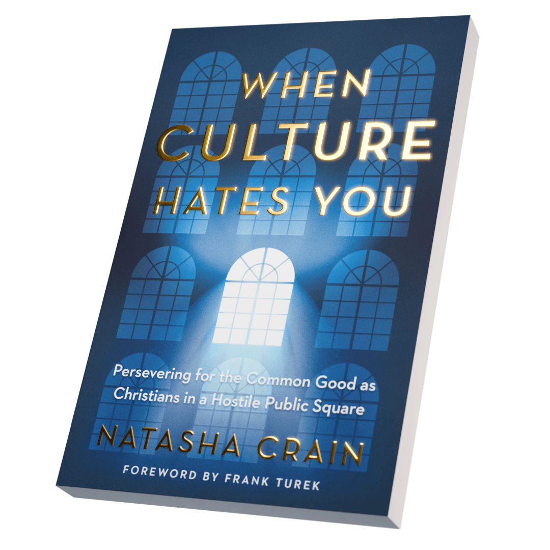 When Culture Hates You Cover